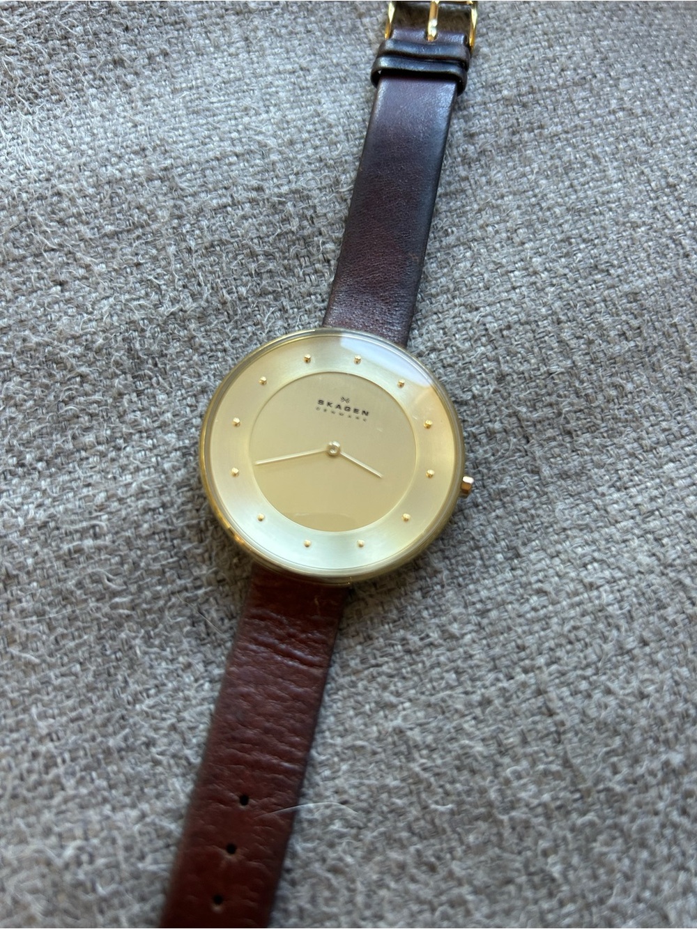 Skagen Gold Dial Brown Leather Strap Minimalist Watch